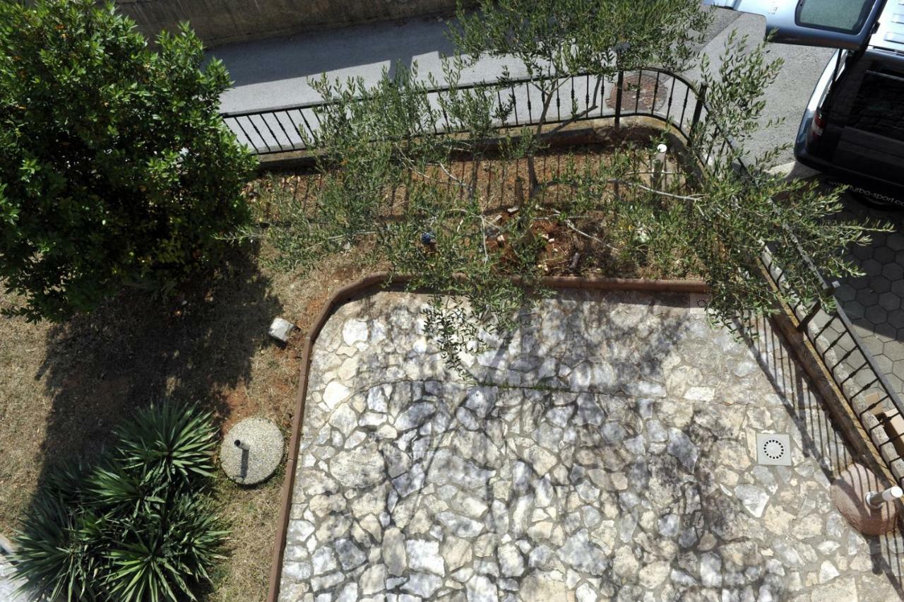 Apartman Branka Kornić Exterior foto
